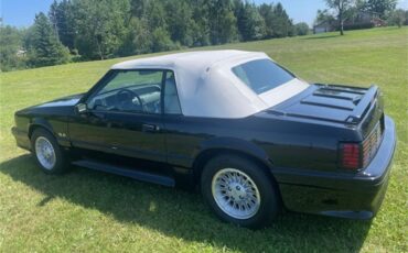 Ford-Mustang-gt-1989-Black-White-3