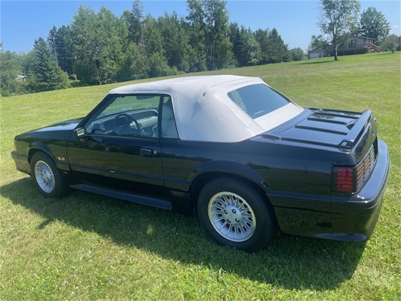 Ford-Mustang-gt-1989-Black-White-3