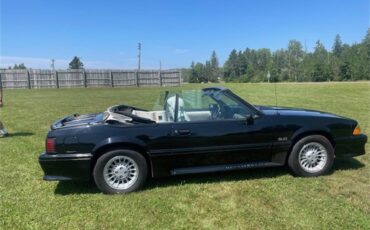 Ford-Mustang-gt-1989-Black-White