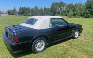 Ford-Mustang-gt-1989-Black-White-4