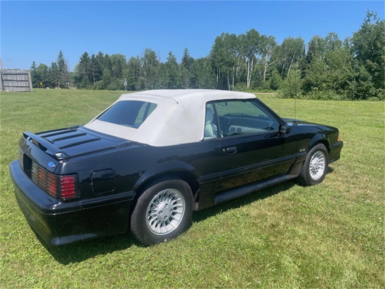 Ford-Mustang-gt-1989-Black-White-4