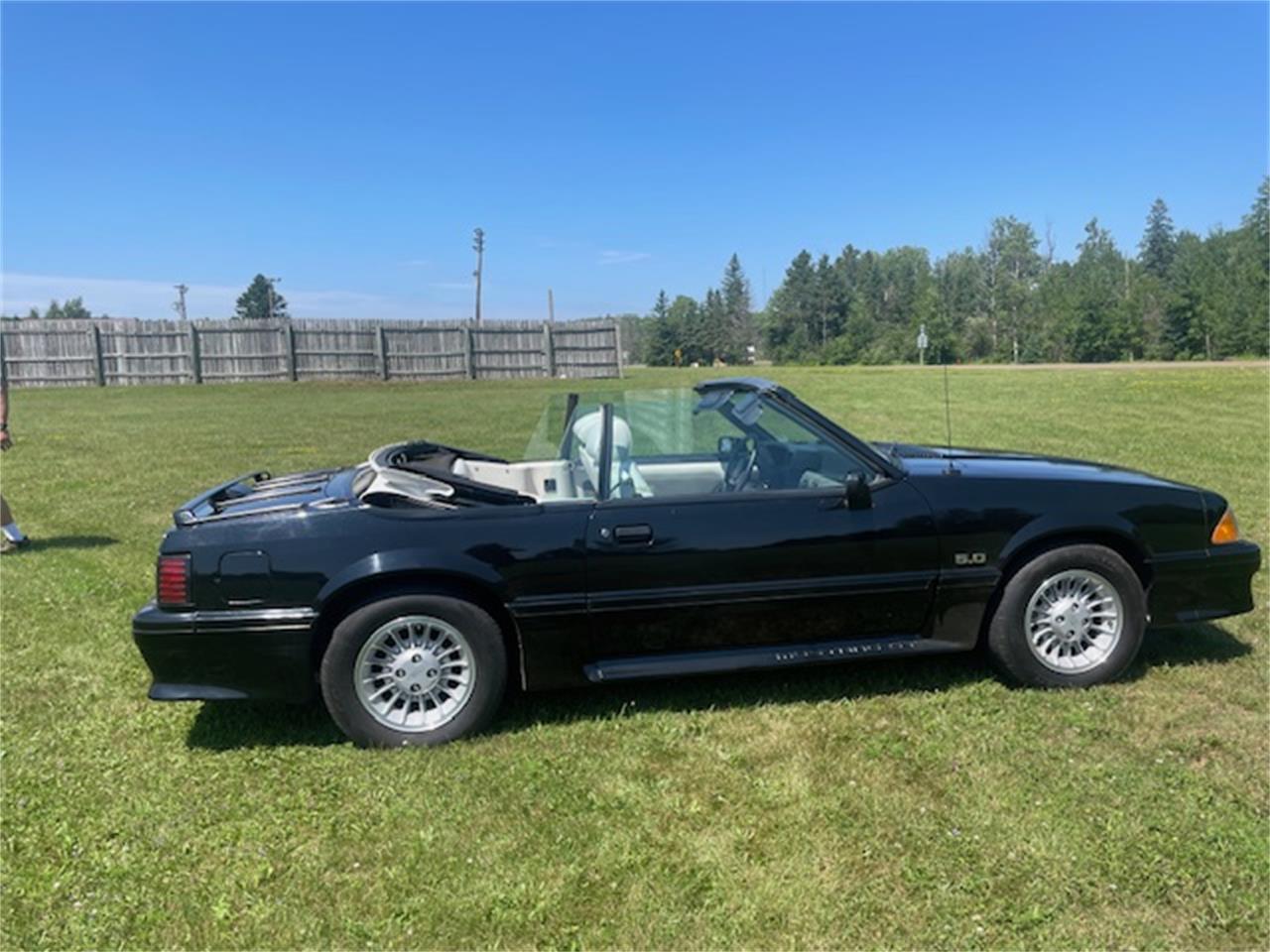 Ford-Mustang-gt-1989-Black-White