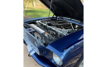 Ford-Mustang-gt350-1965-Dark-Blue-Black-3