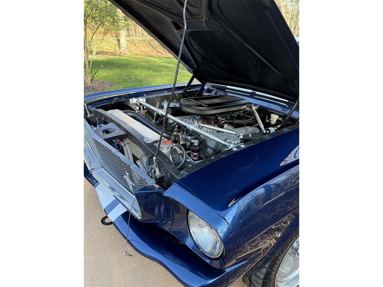 Ford-Mustang-gt350-1965-Dark-Blue-Black-3