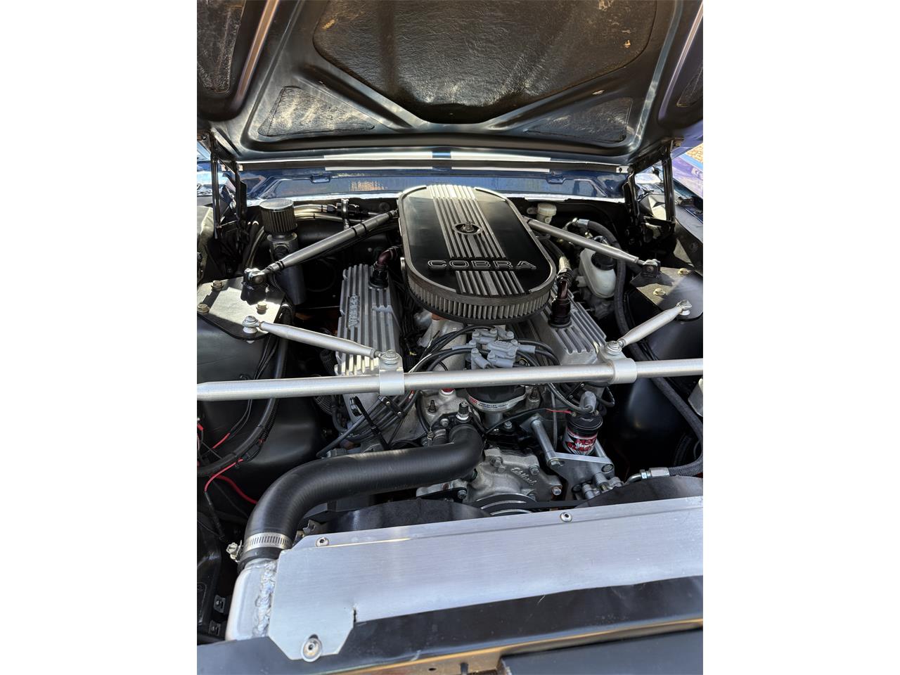Ford-Mustang-gt350-1965-Dark-Blue-Black-6