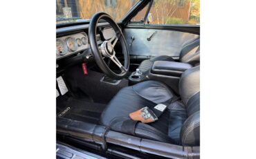 Ford-Mustang-gt350-1965-Dark-Blue-Black-8