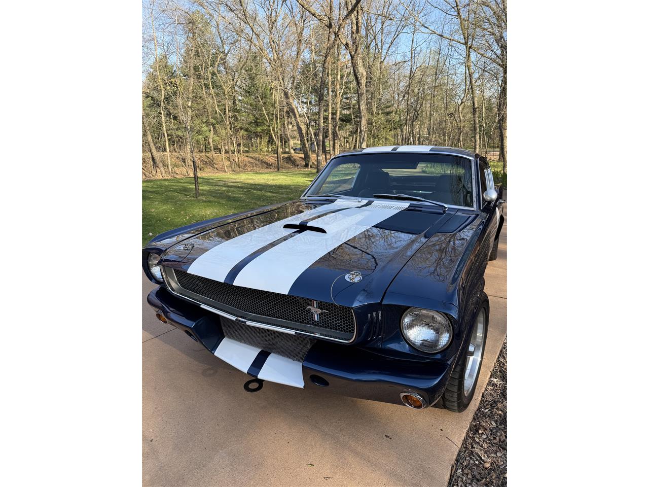 Ford-Mustang-gt350-1965-Dark-Blue-Black