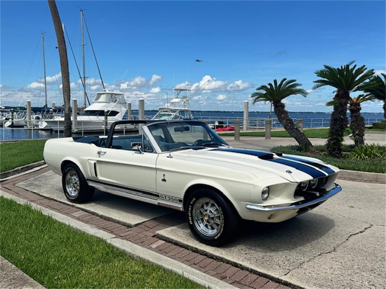 Ford-Mustang-gt350-1967-Wimbledon-White-Blue-1