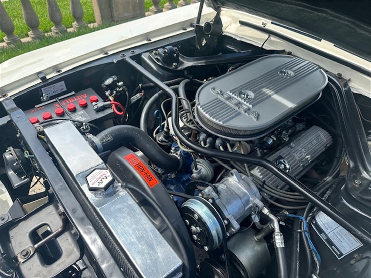 Ford-Mustang-gt350-1967-Wimbledon-White-Blue-10