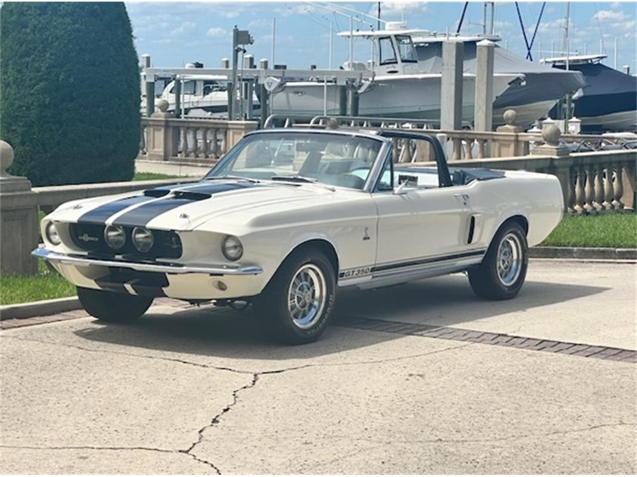 Ford-Mustang-gt350-1967-Wimbledon-White-Blue-16