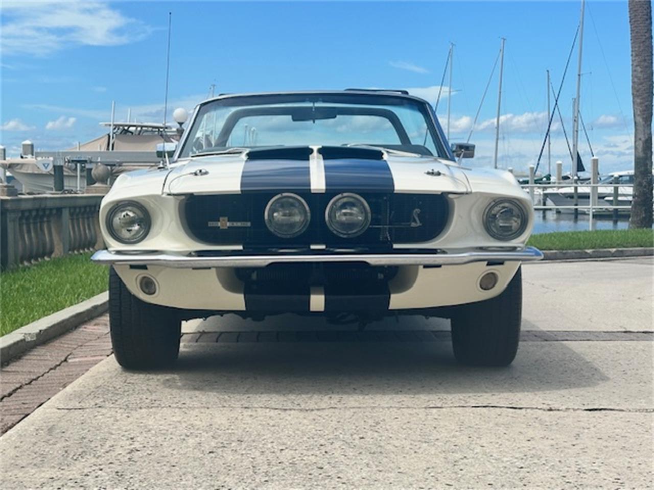 Ford-Mustang-gt350-1967-Wimbledon-White-Blue-17