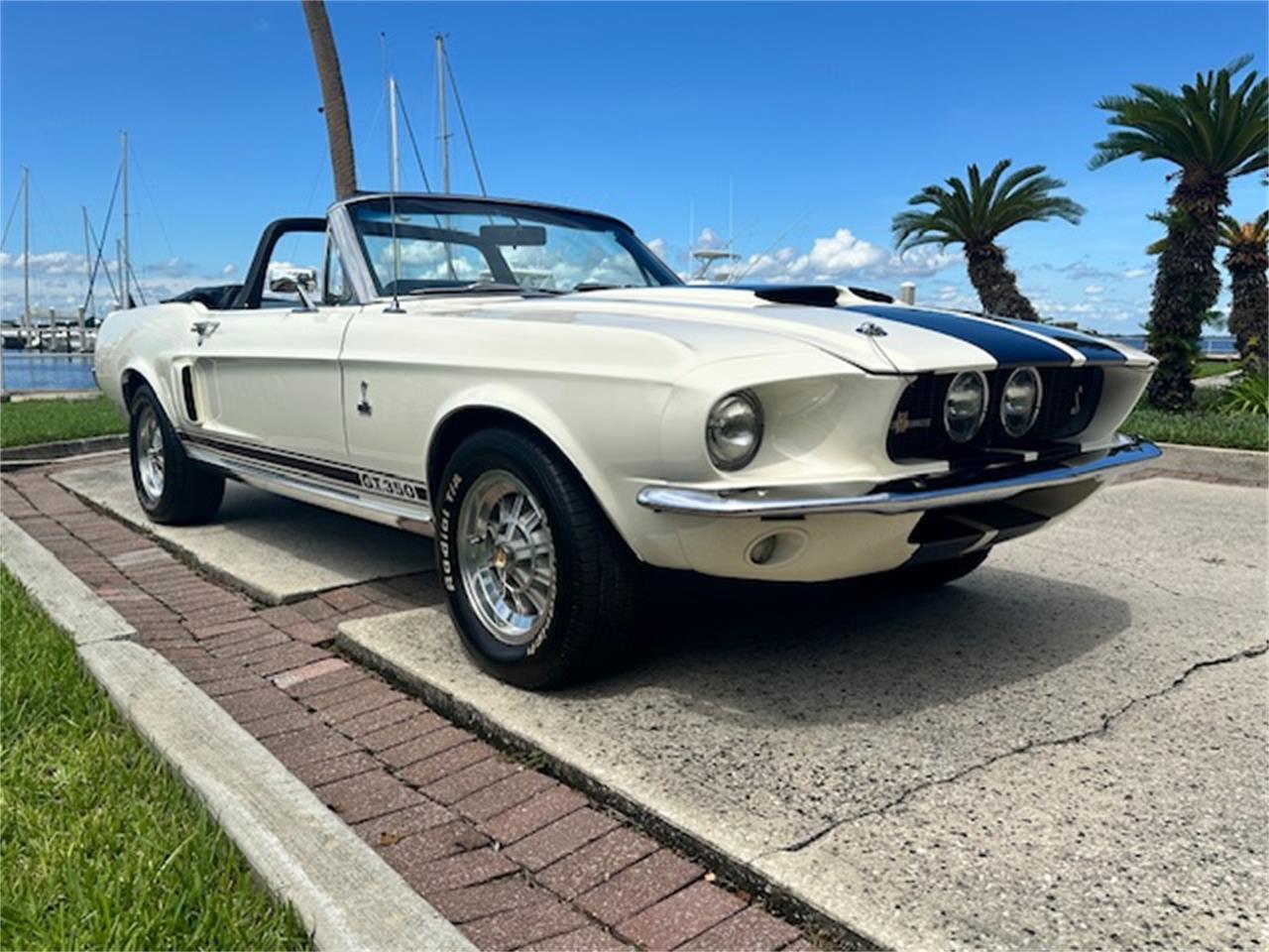 Ford-Mustang-gt350-1967-Wimbledon-White-Blue-19
