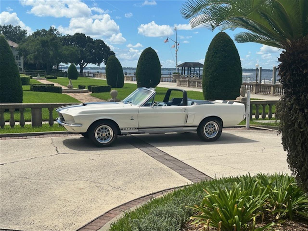 Ford-Mustang-gt350-1967-Wimbledon-White-Blue-2