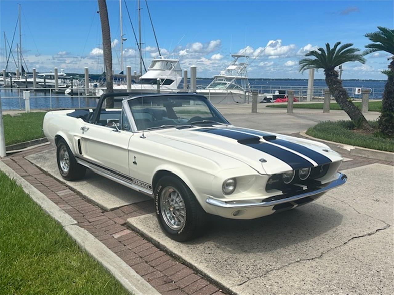 Ford-Mustang-gt350-1967-Wimbledon-White-Blue-21