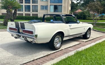 Ford-Mustang-gt350-1967-Wimbledon-White-Blue-22
