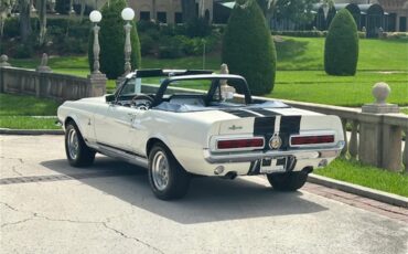 Ford-Mustang-gt350-1967-Wimbledon-White-Blue-27