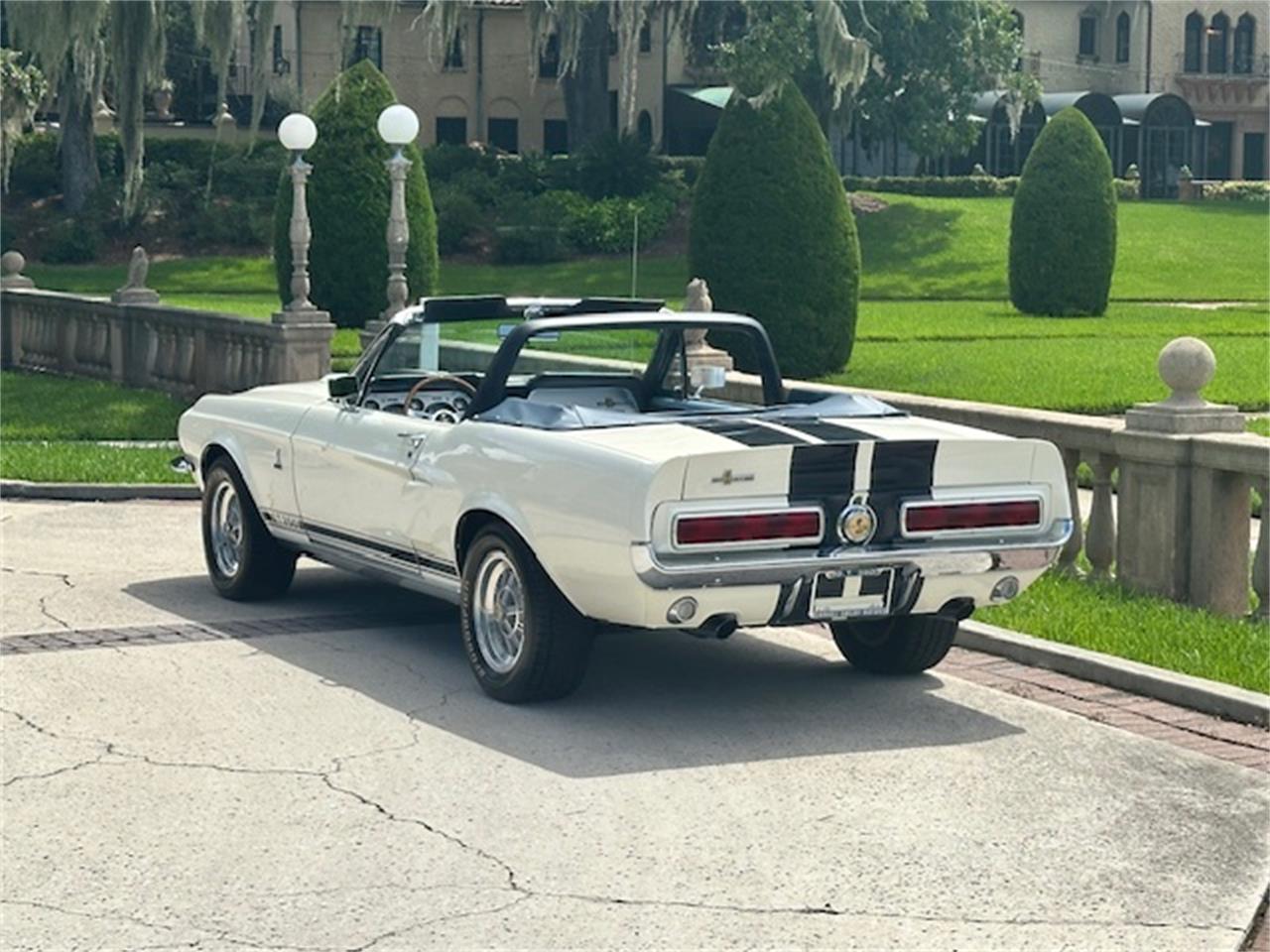 Ford-Mustang-gt350-1967-Wimbledon-White-Blue-27