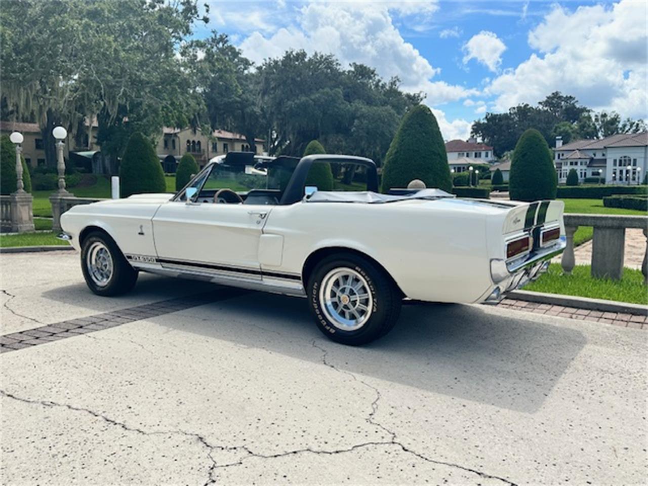 Ford-Mustang-gt350-1967-Wimbledon-White-Blue-29