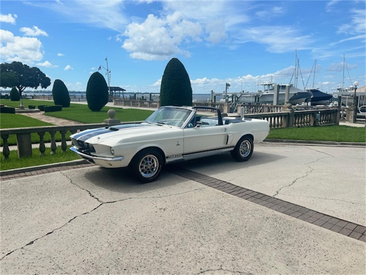 Ford-Mustang-gt350-1967-Wimbledon-White-Blue-30