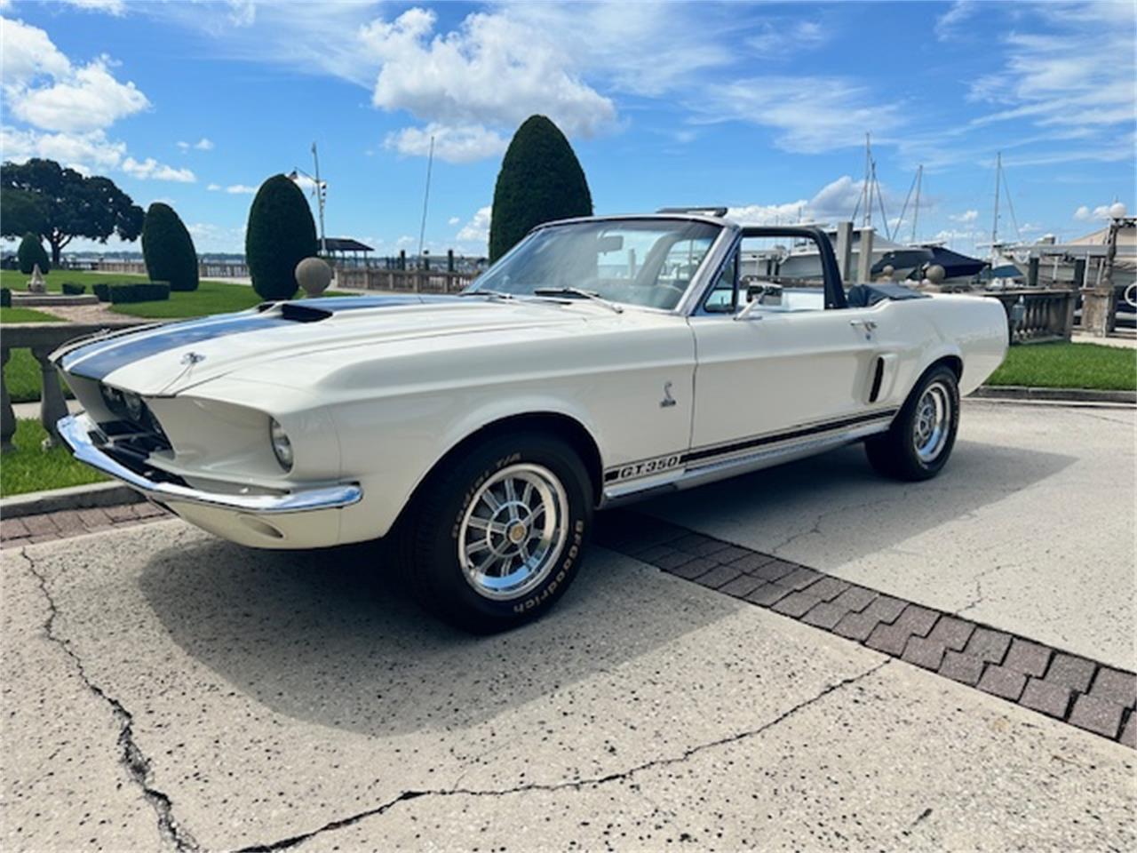 Ford-Mustang-gt350-1967-Wimbledon-White-Blue-31