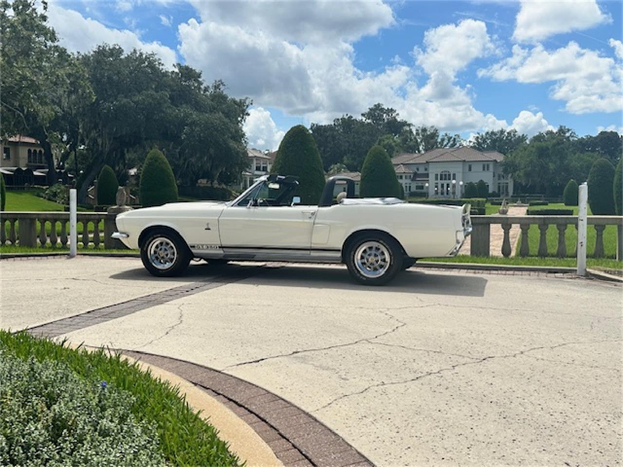 Ford-Mustang-gt350-1967-Wimbledon-White-Blue-42