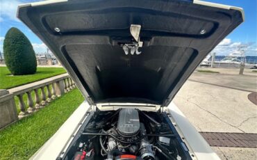 Ford-Mustang-gt350-1967-Wimbledon-White-Blue-8