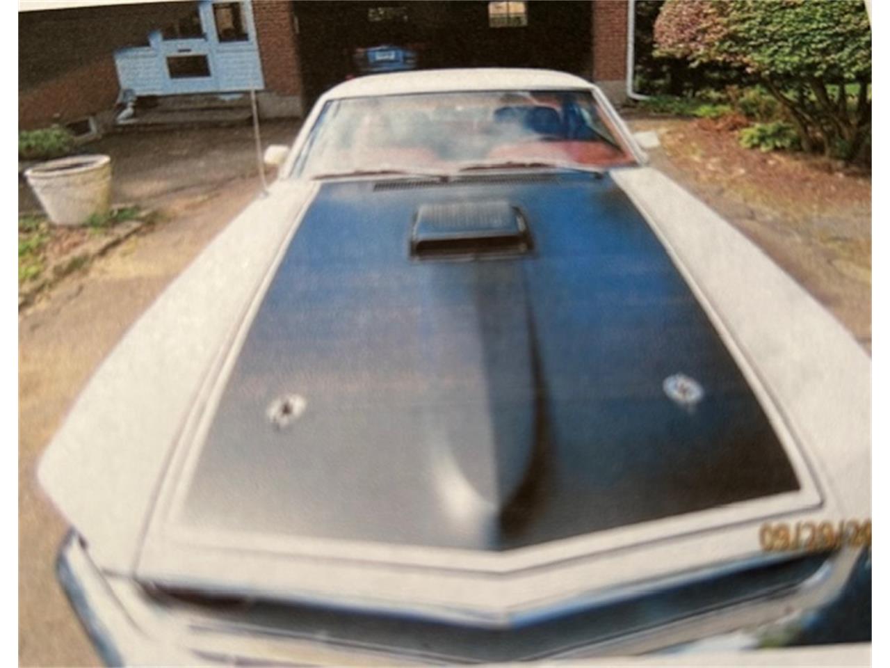 Ford-Mustang-mach-1-1969-Wimbledon-White-Red-1