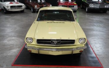 Ford-Other-1965-Phoenician-Yellow-Black-23