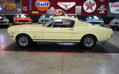 Ford Other 1965
