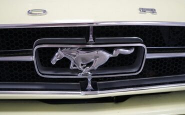 Ford-Other-1965-Phoenician-Yellow-Black-49