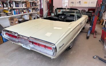 Ford-Other-1966-Convertible-21