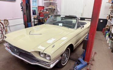 Ford-Other-1966-Convertible-22
