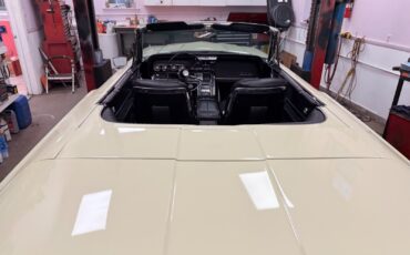Ford-Other-1966-Convertible-23