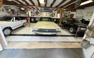 Ford-Other-1966-Convertible-27