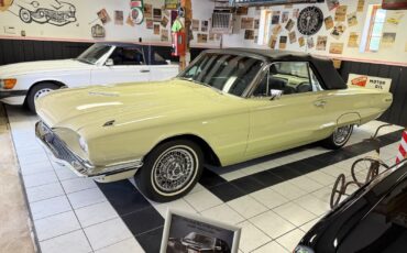 Ford-Other-1966-Convertible-28