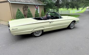 Ford-Other-1966-Convertible-33