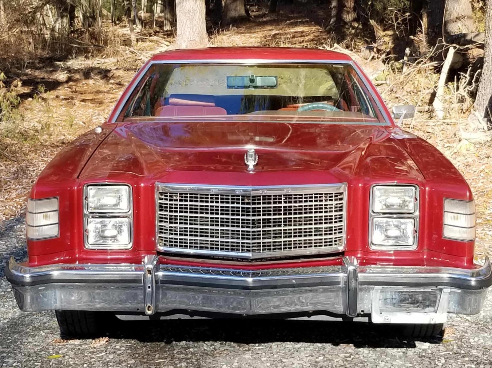 Ford-Other-1978-2