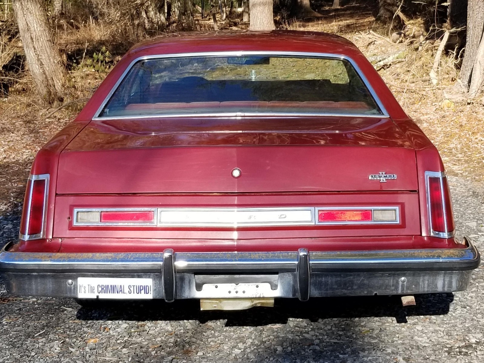 Ford-Other-1978-3