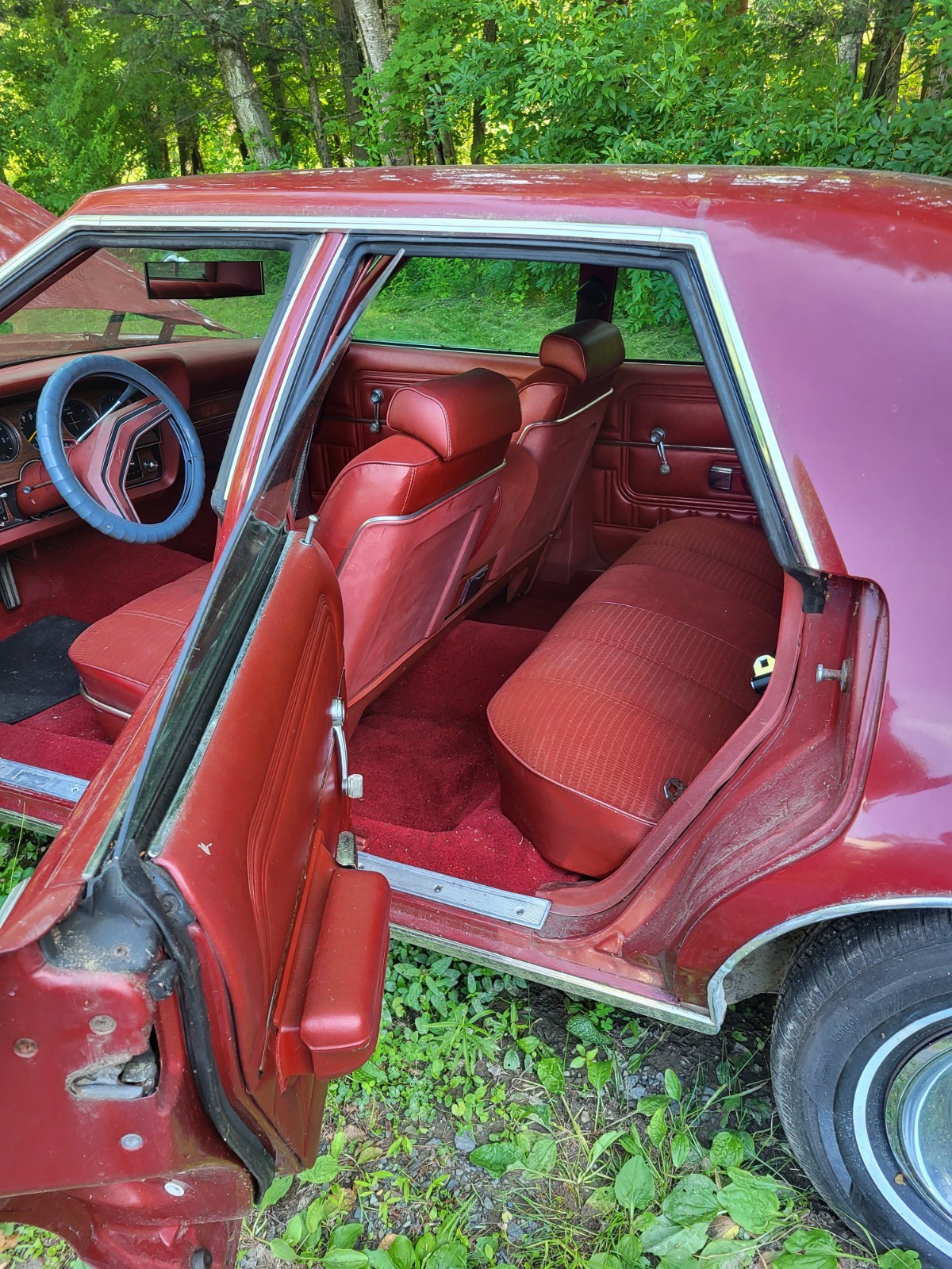 Ford-Other-1978-5