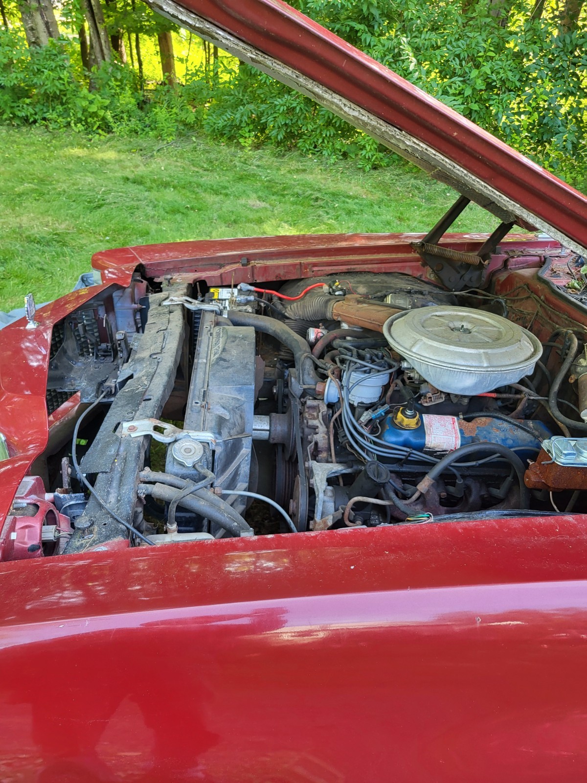 Ford-Other-1978-8