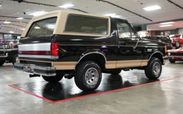 Ford-Other-1987-Raven-Black-Chestnut-11