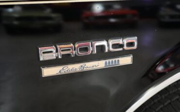 Ford-Other-1987-Raven-Black-Chestnut-14