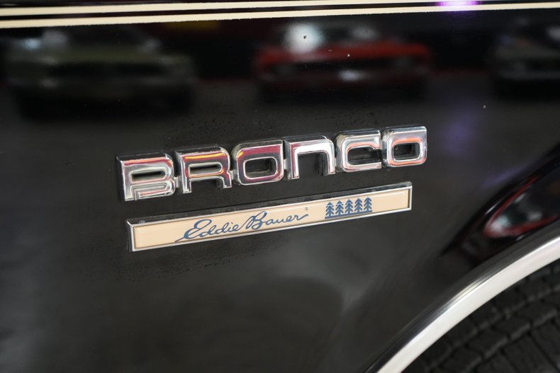 Ford-Other-1987-Raven-Black-Chestnut-14