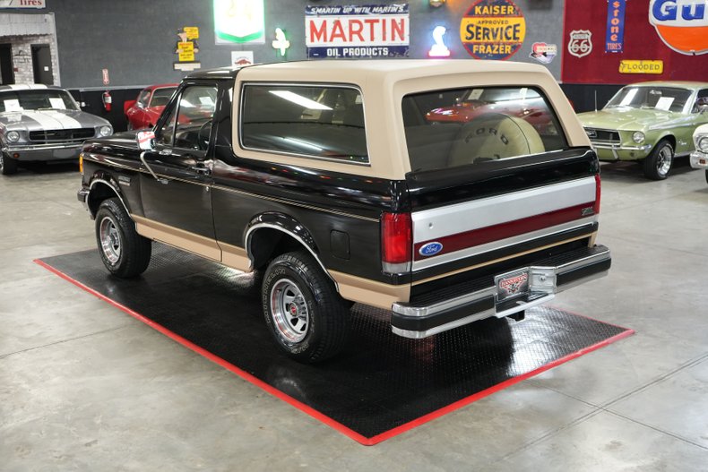 Ford-Other-1987-Raven-Black-Chestnut-16