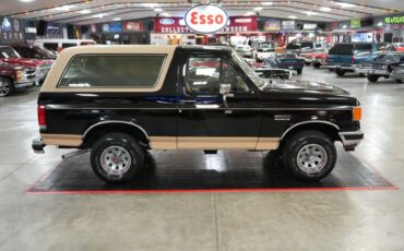 Ford-Other-1987-Raven-Black-Chestnut-19