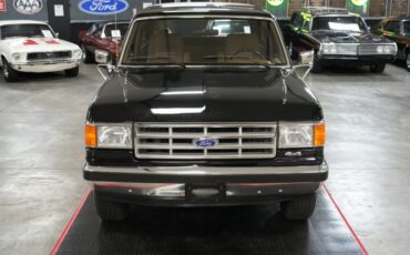 Ford-Other-1987-Raven-Black-Chestnut-21