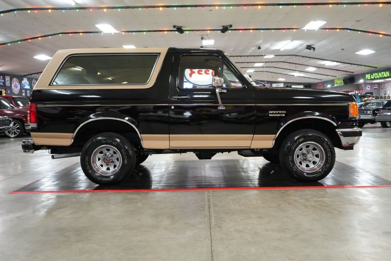 Ford-Other-1987-Raven-Black-Chestnut-24