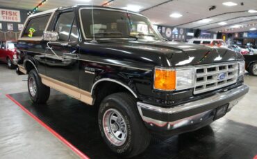 Ford-Other-1987-Raven-Black-Chestnut-32