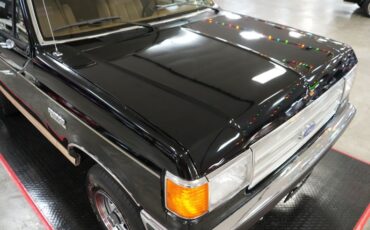 Ford-Other-1987-Raven-Black-Chestnut-33