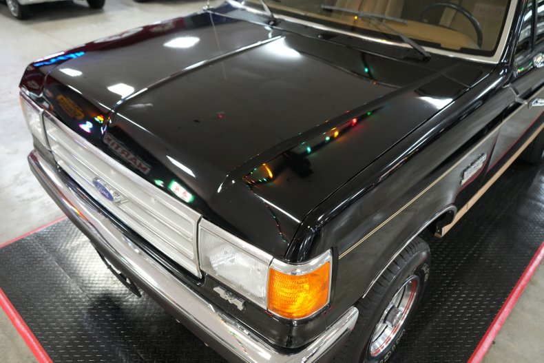Ford-Other-1987-Raven-Black-Chestnut-34